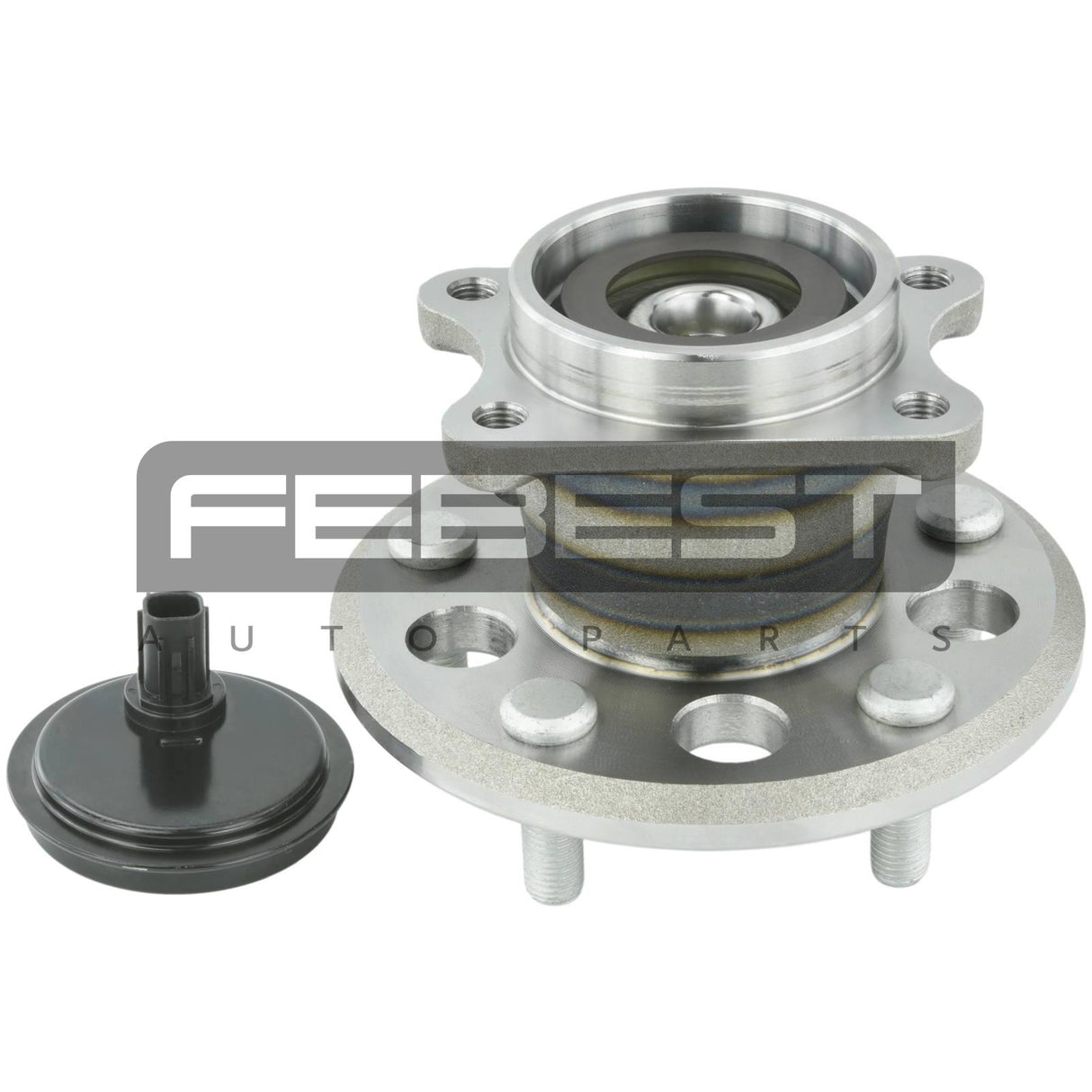 Rear wheel hub