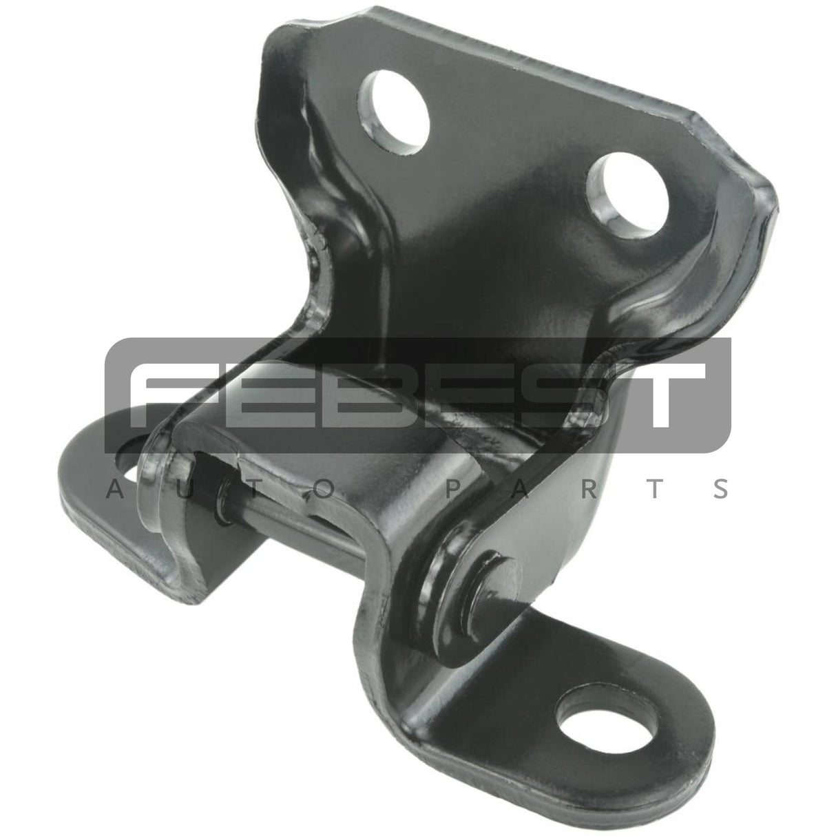 Front left door lower hinge