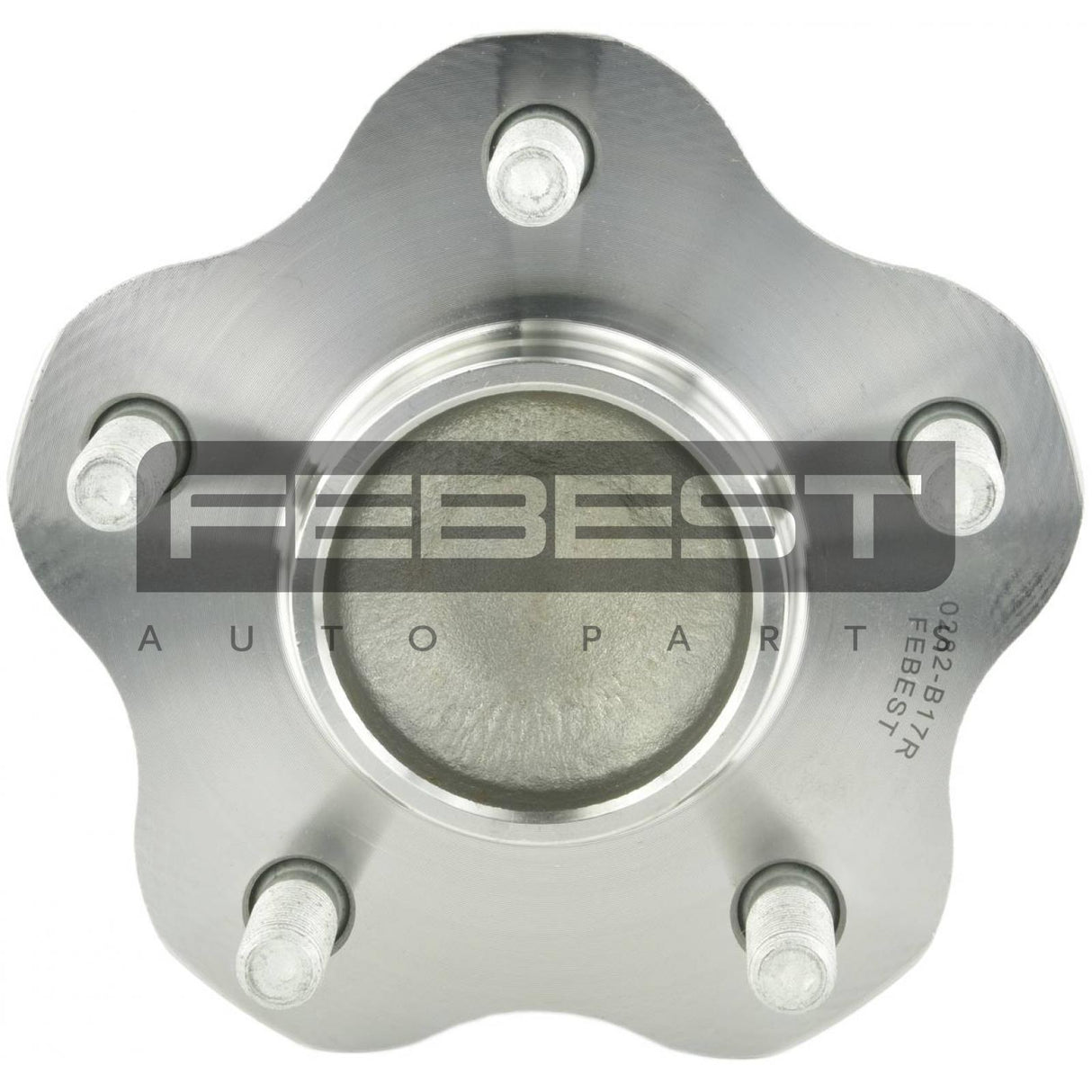 Rear wheel hub