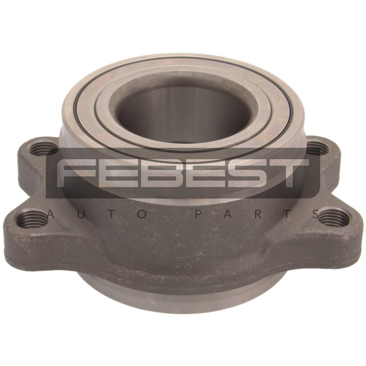 Rear wheel hub kit