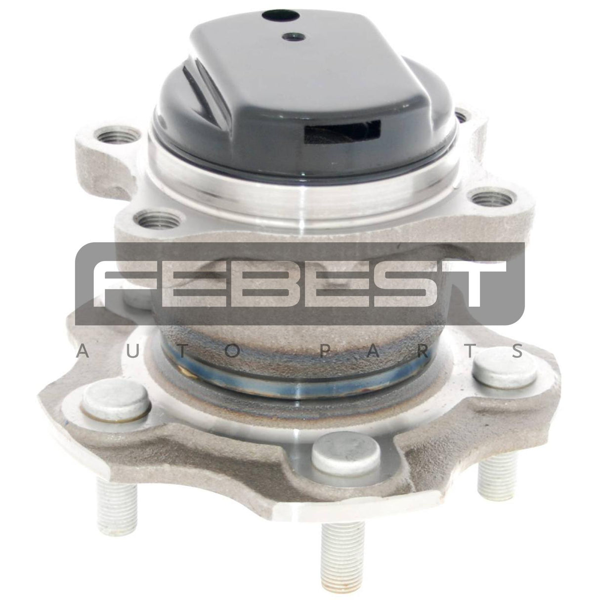 Rear wheel hub