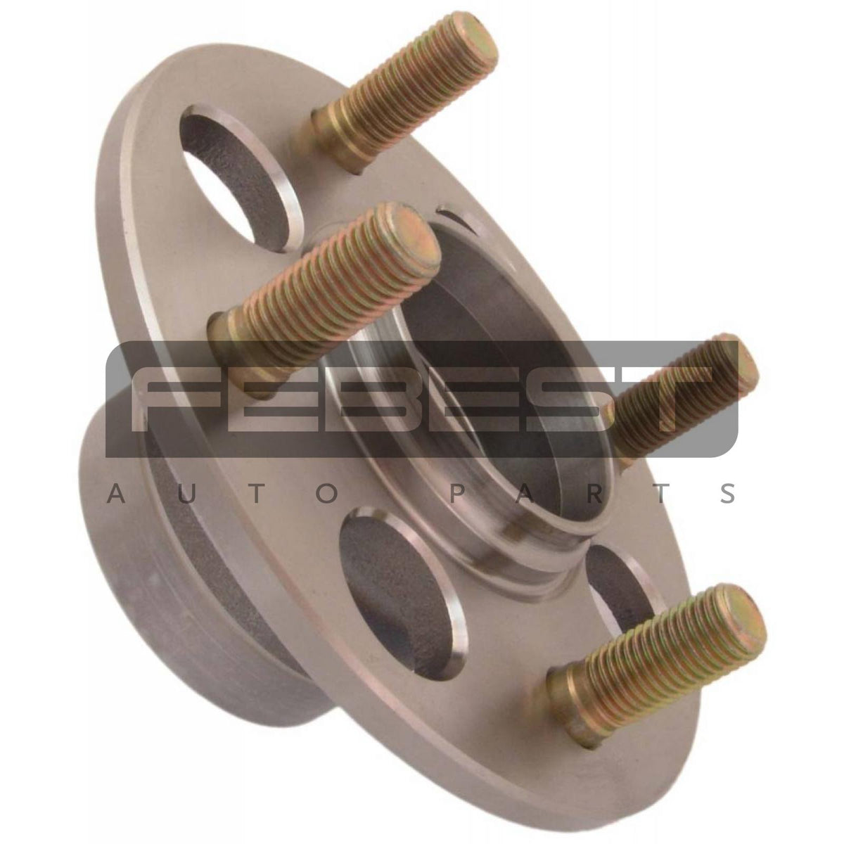 Rear wheel hub