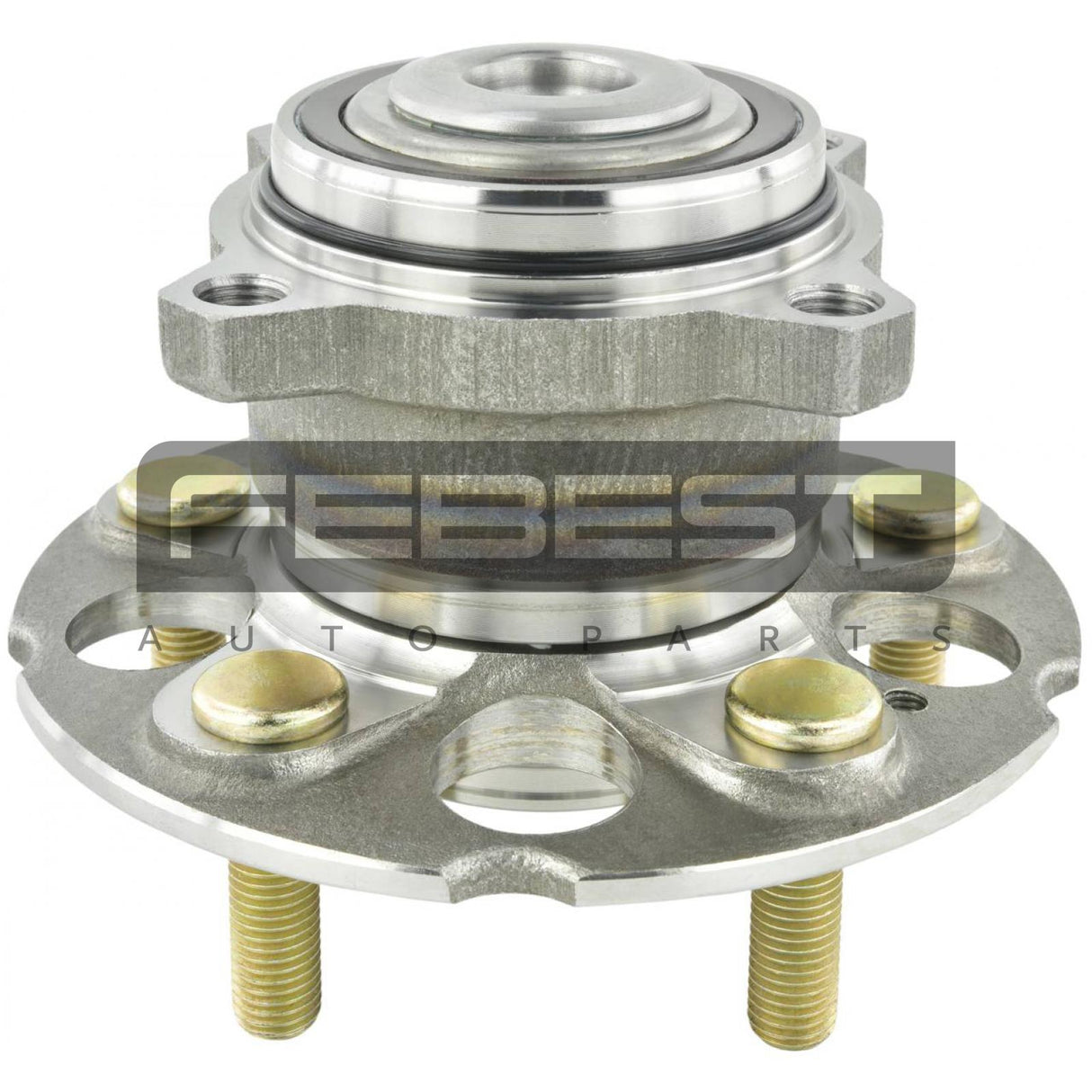Rear wheel hub