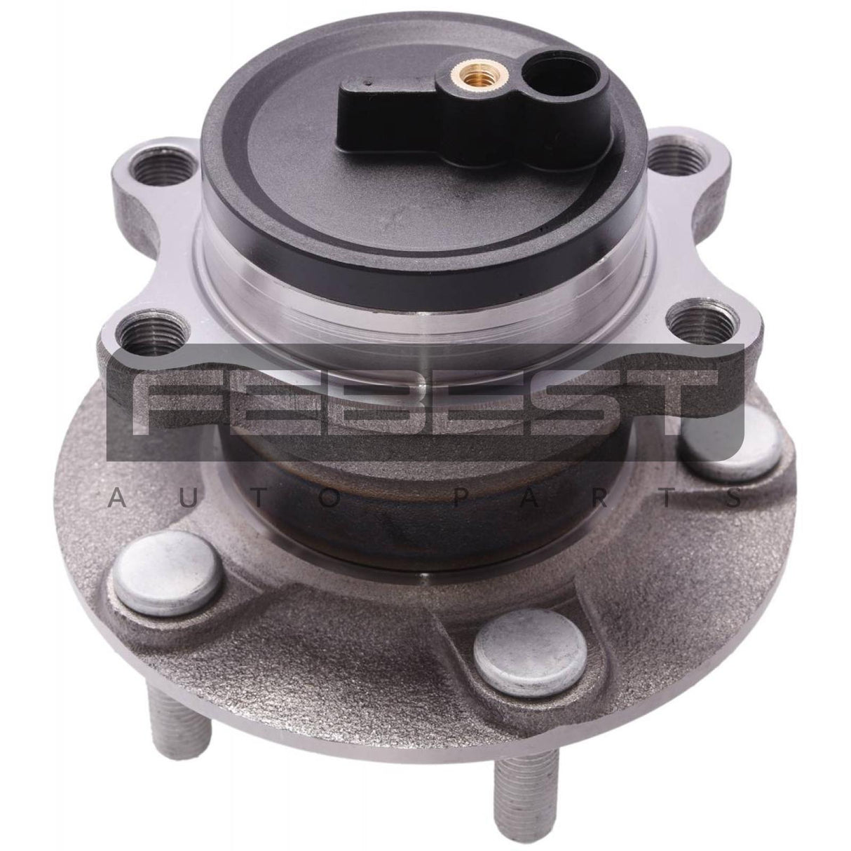 Rear wheel hub