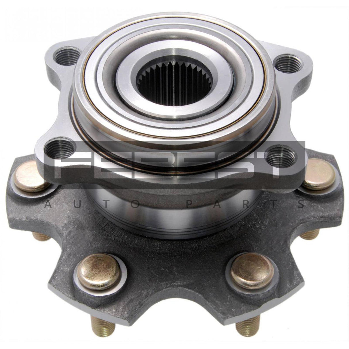 Rear wheel hub