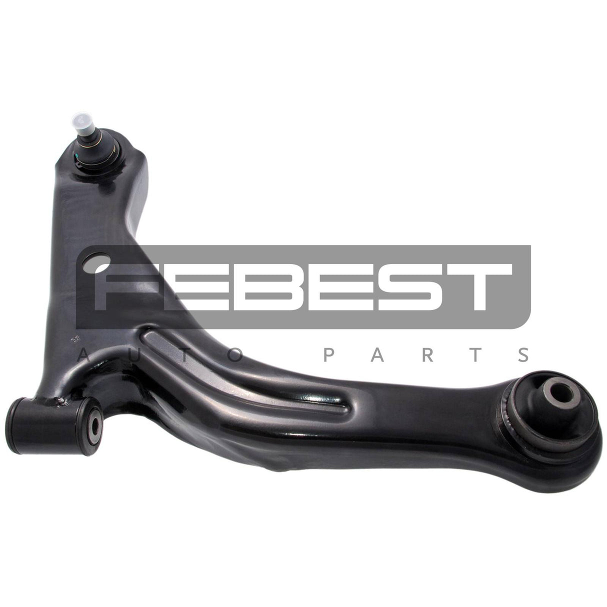 Right lower front arm
