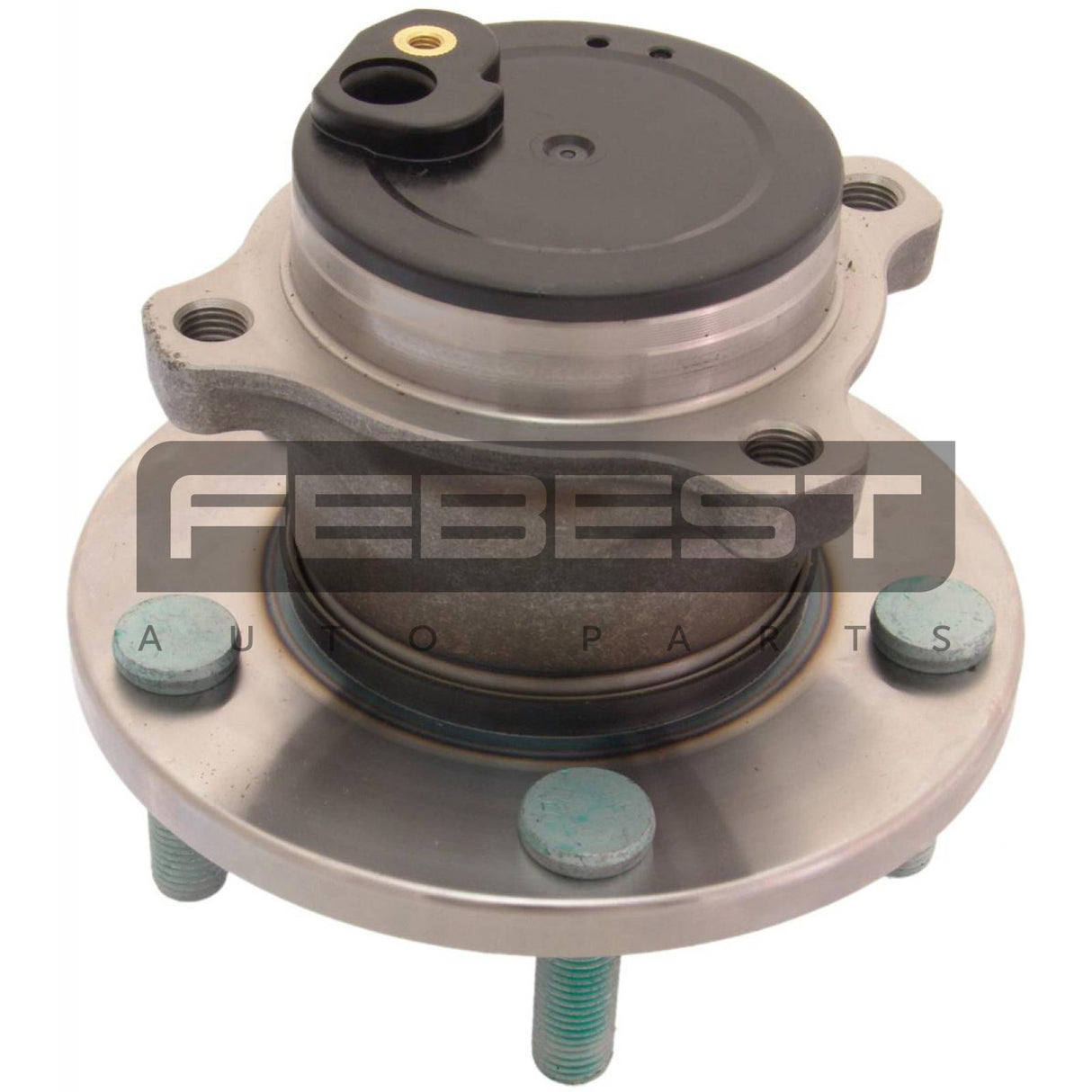Rear wheel hub