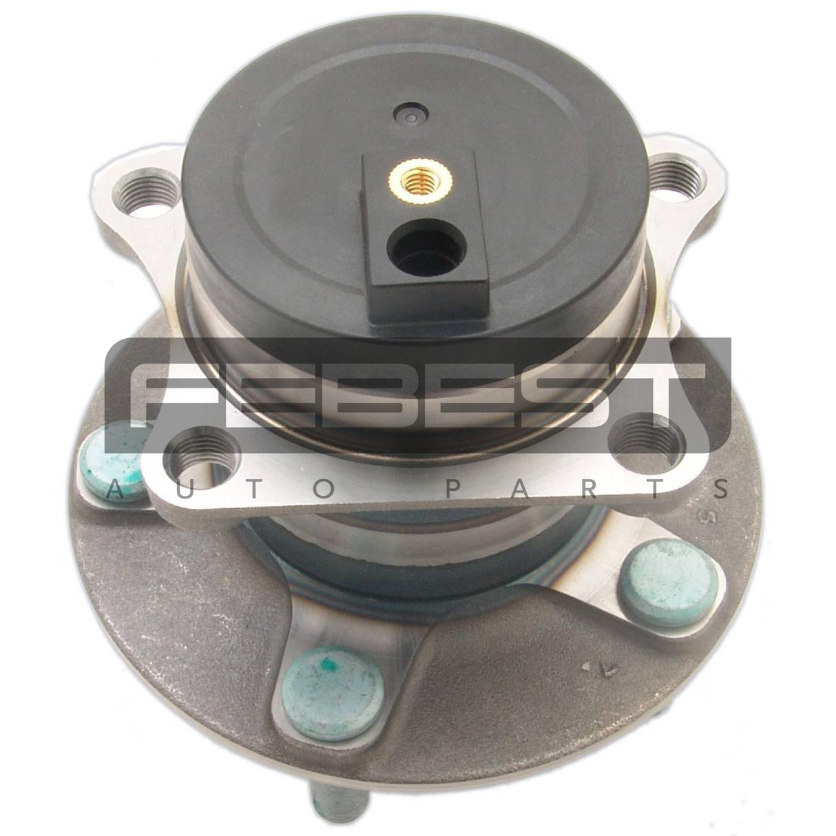 Rear wheel hub