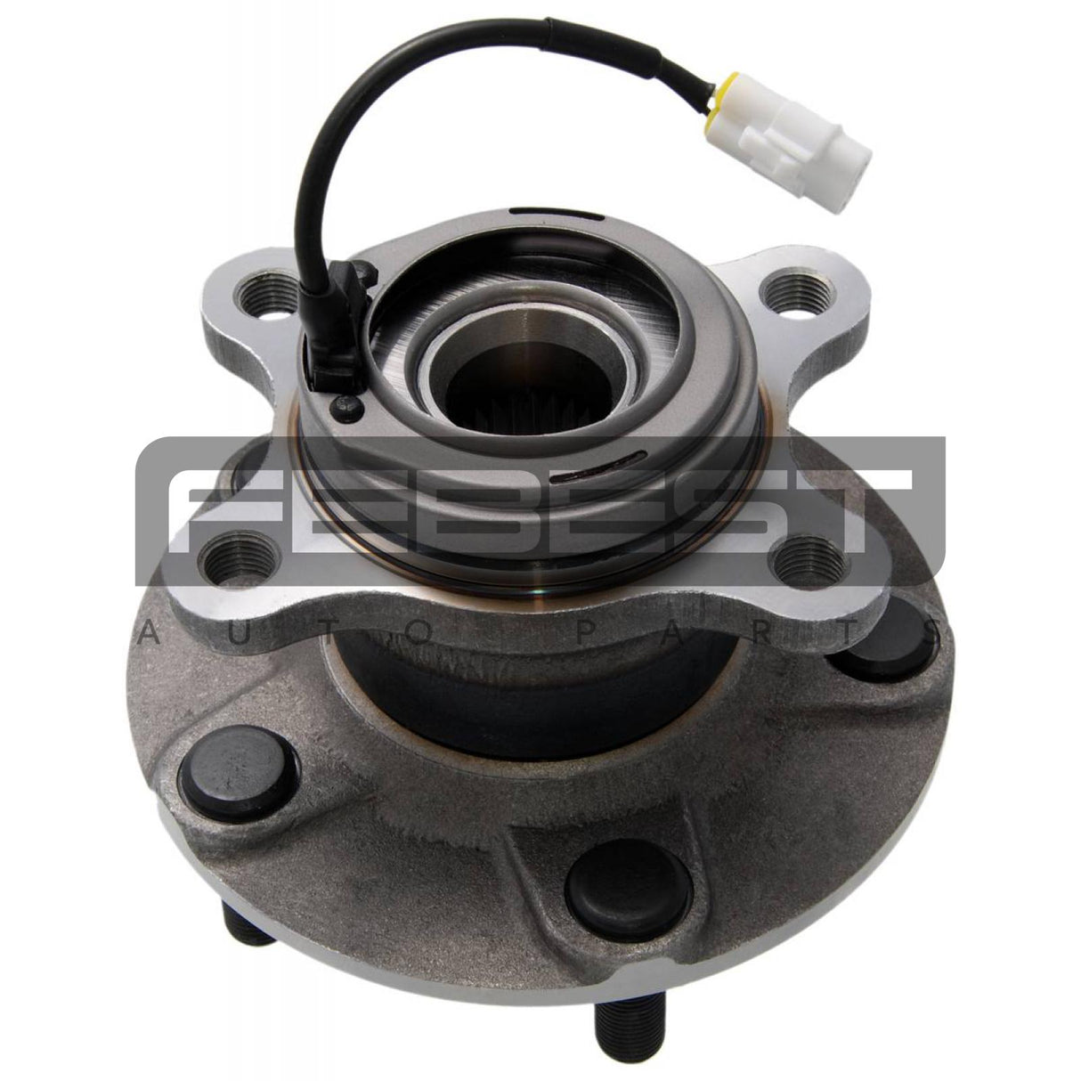 Rear wheel hub
