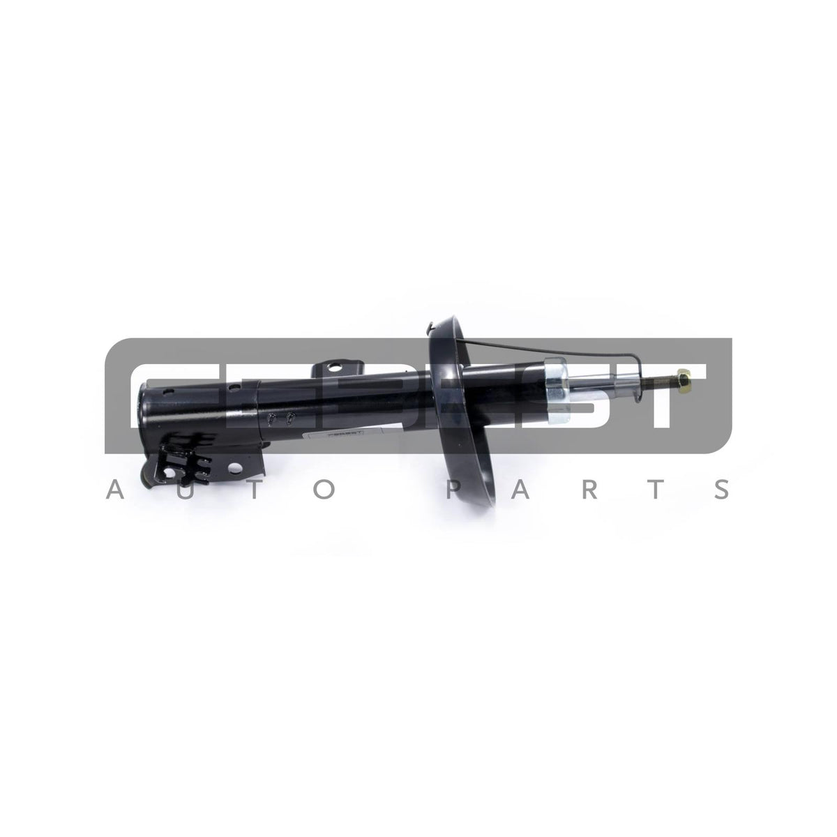 Front left shock absorber, gas pressure