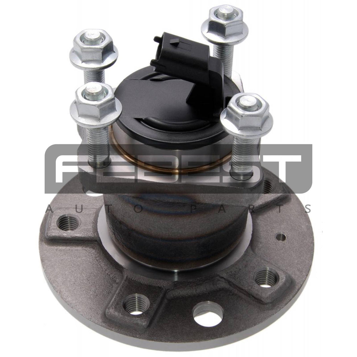 Rear wheel hub