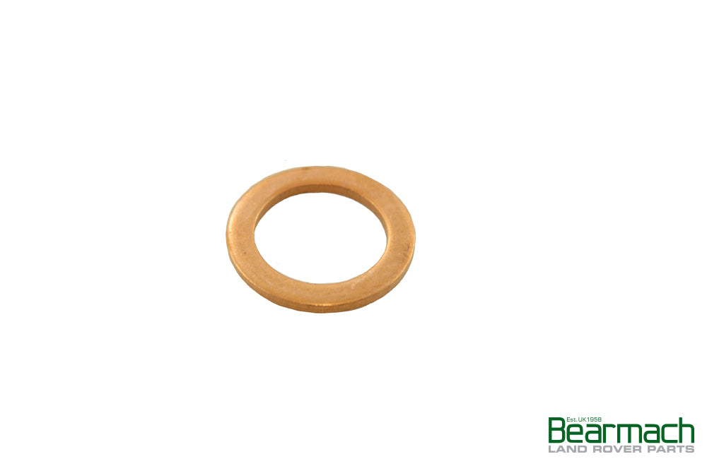 Washer Fuel Injector