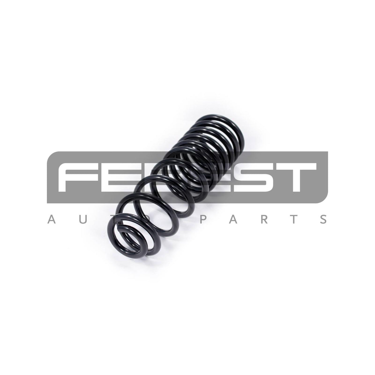 Rear coil spring