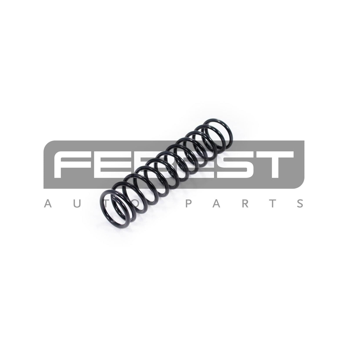 Rear coil spring