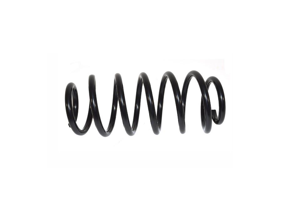Rear Springs