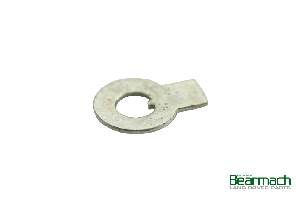 Hinge Lockwasher Door