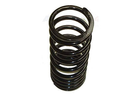 Rear Road Spring - EUROSPARE