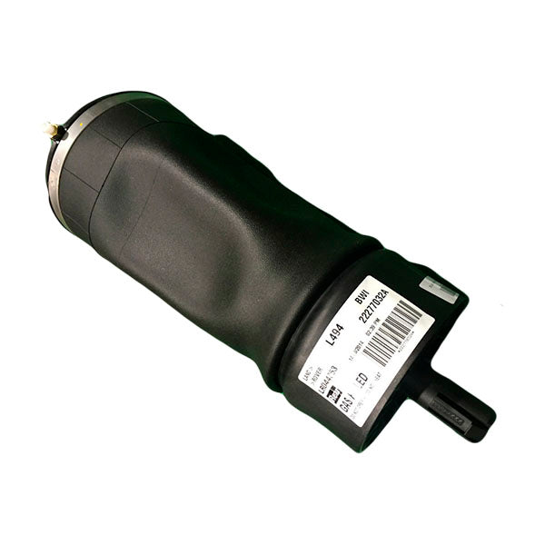 Air Spring - Rear - Right Side