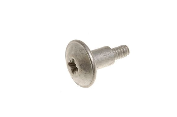 Screw