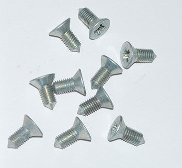 Rear Glass Screw (10 units)