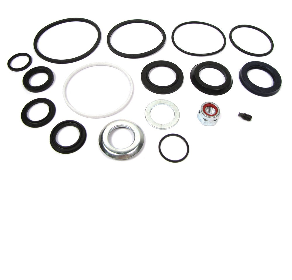 Seal kit pas - Steering Box