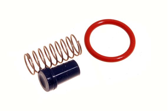 Compressor Delivery Valve Kit