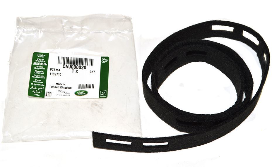 Glass channel - Left Side Rear Window