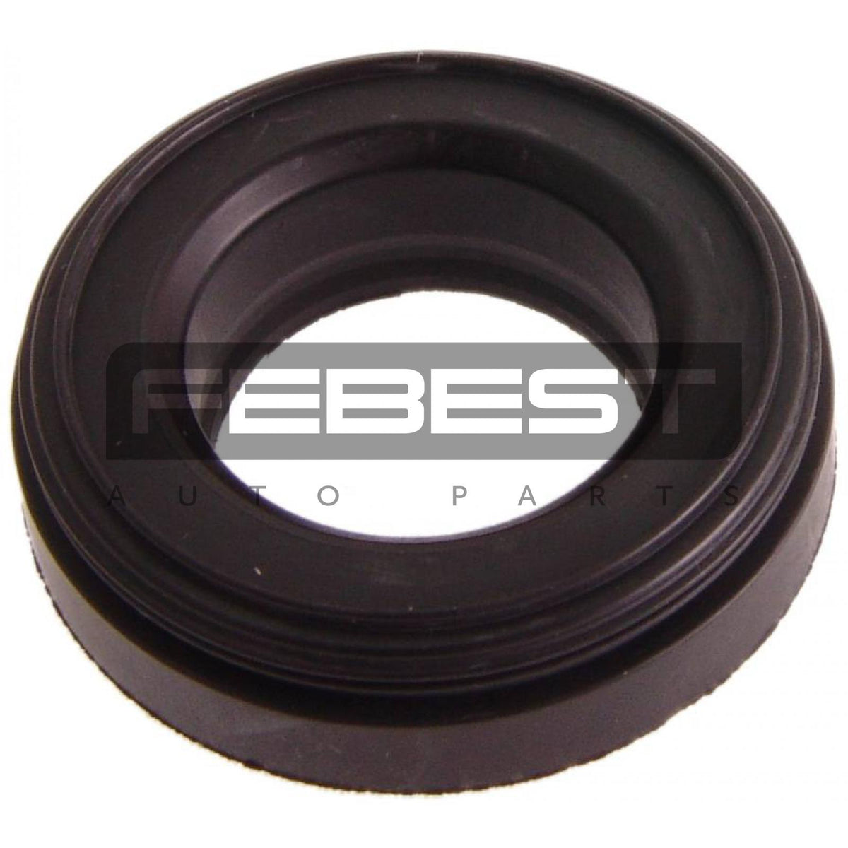 Seal ring, spark plug tube