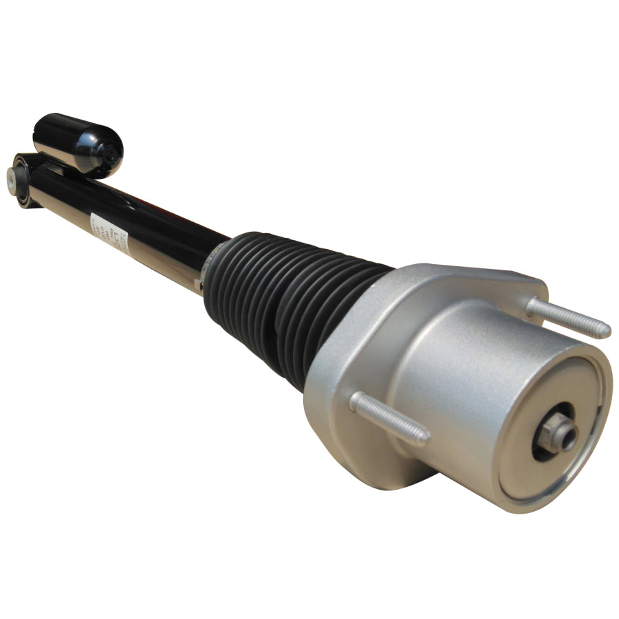 Shock absorber - rear - lh