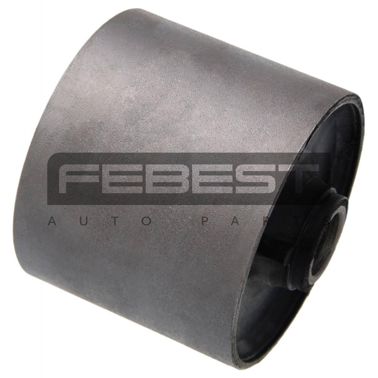 Bushing, rear trailing arm