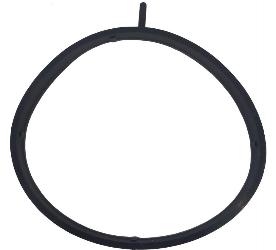 Throttle body o-ring