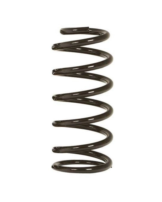 Rear Reinforced Spring Kit - +4cm