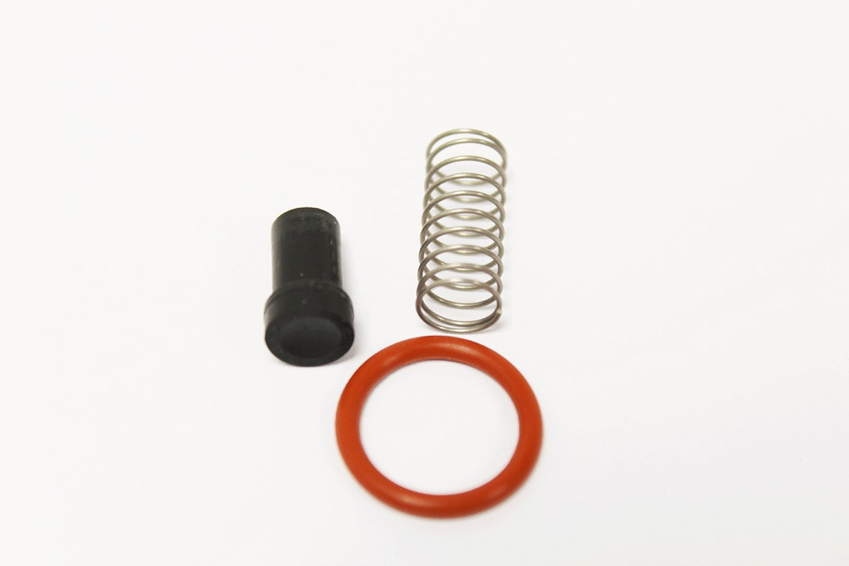 Compressor Delivery Valve Kit
