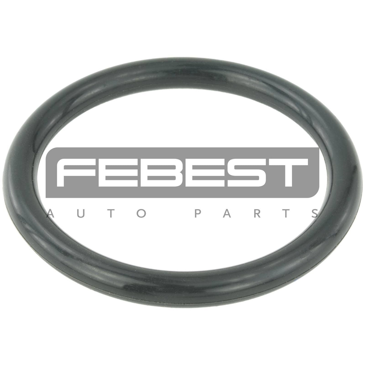Throttle body o-ring