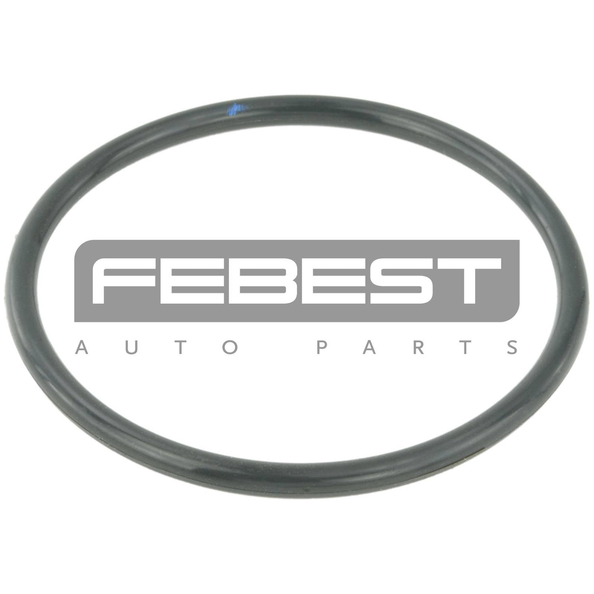 Throttle body o-ring
