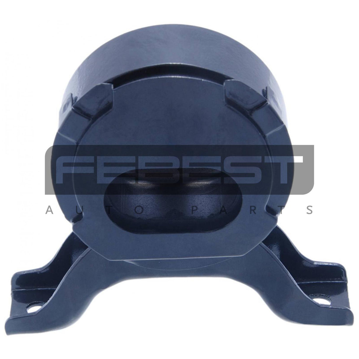 Rear differential bushing