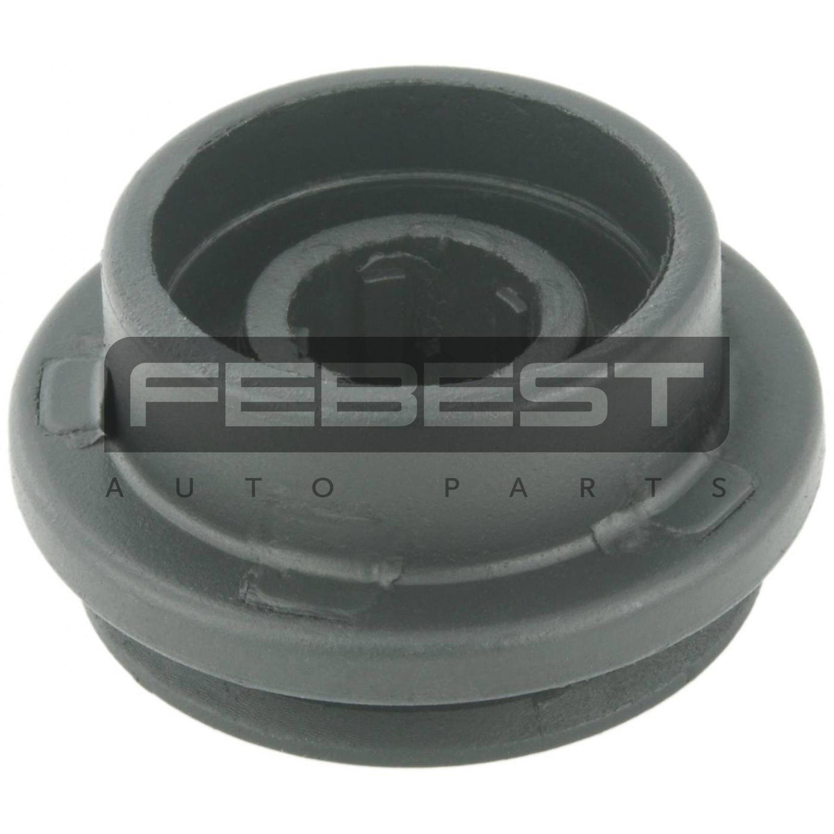 Mount rubber radiator