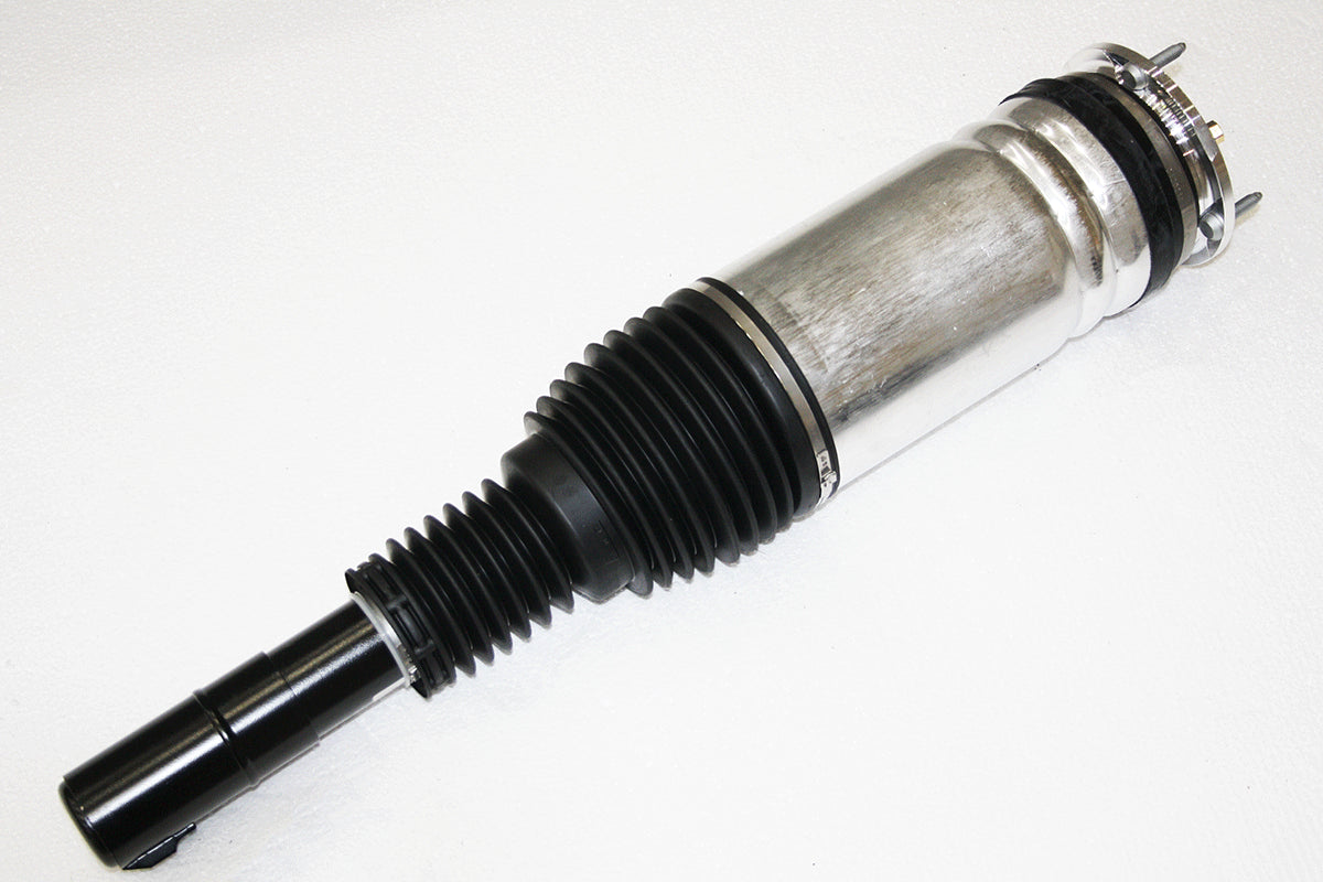 Front Shock Absorber - Left Side - With Unpainted Brake Calipers - BWI