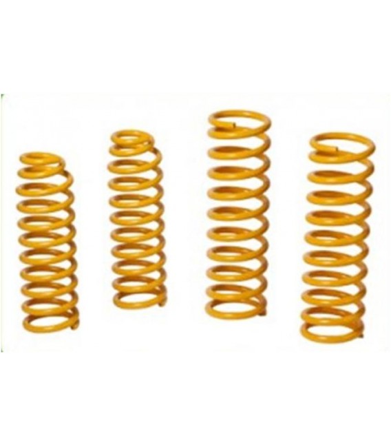 Front Spring IRONMAN CONSTANT LOAD - Heavy Duty - +4cm.