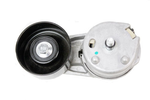 Accessories Belt Tensioner - 2.7 Diesel V6 - EUROSPARE