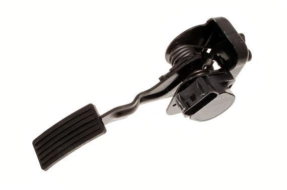 Potentiometer and Pedal Assembly