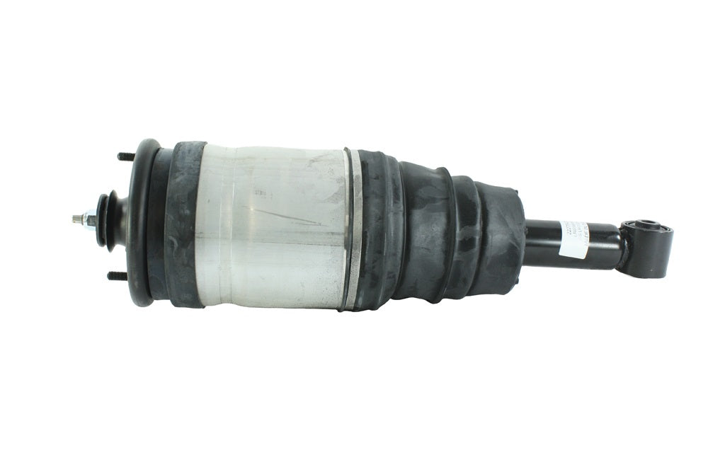 Rear Shock Absorber - Complete - With Air Suspension on all 4 Wheels - BWI