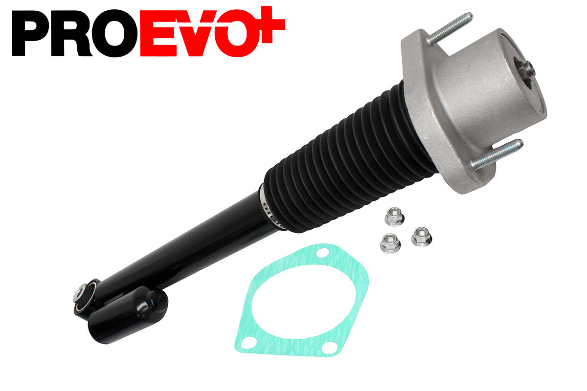 Shock absorber - rear - rh