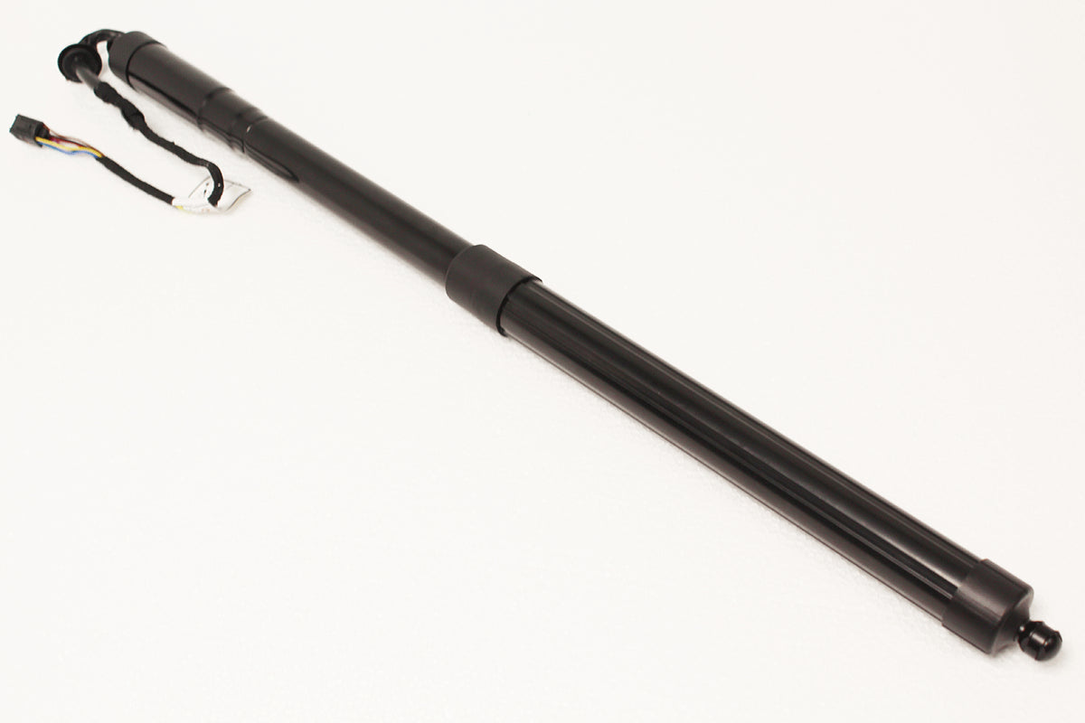 Strut - tailgate - rs2
