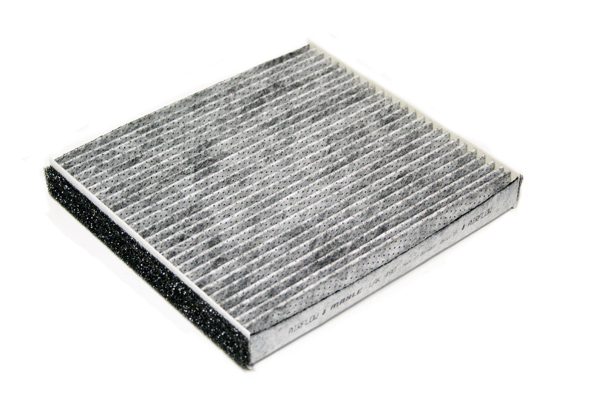 Filter Pollen