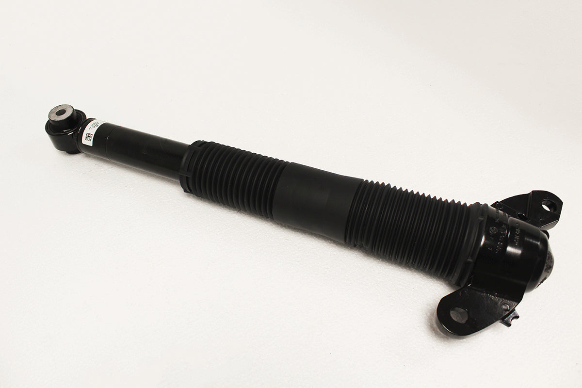 Shock Absorber - Rear - BWI