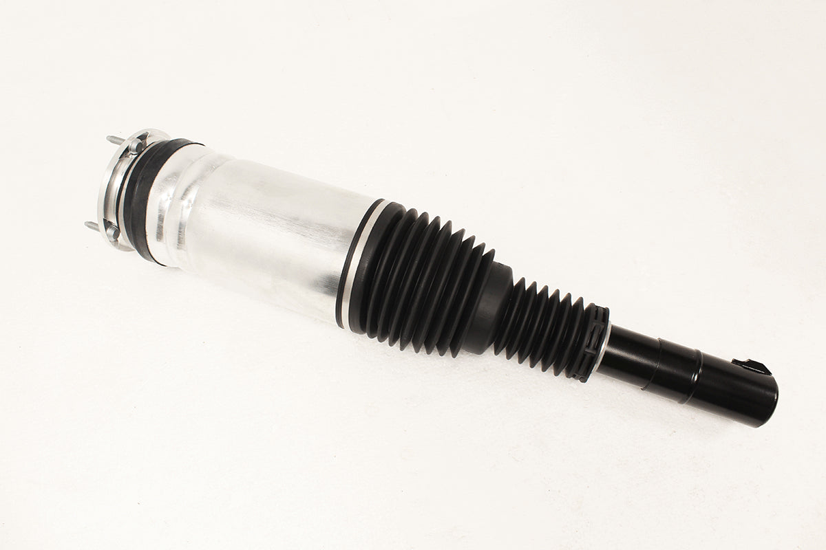 Damper Assembly - RH - Front - R5 - BWI