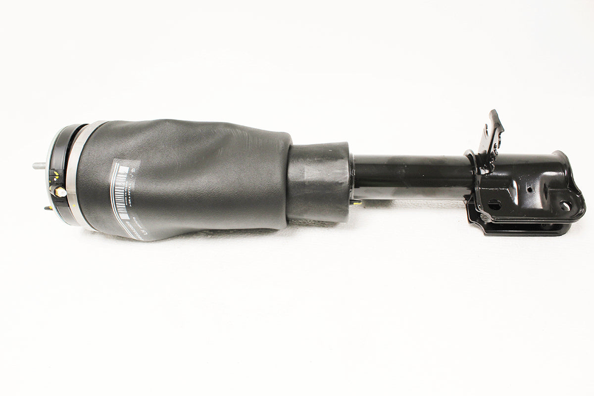 Front Shock absorber assembly - LH - BWI