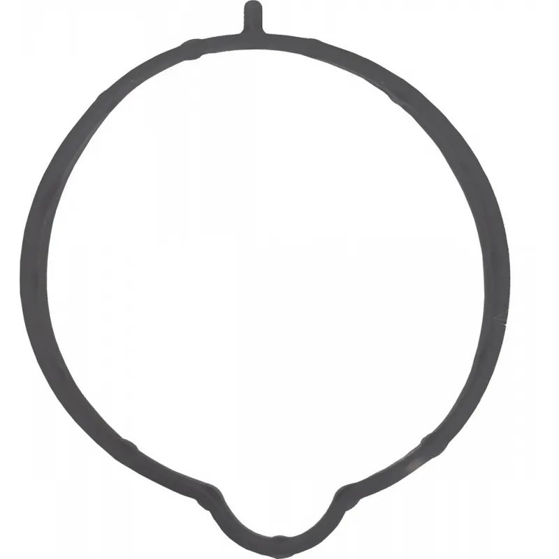 Gasket, throttle body