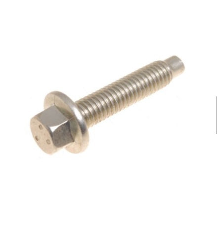 Screw (Pack of 10 units)